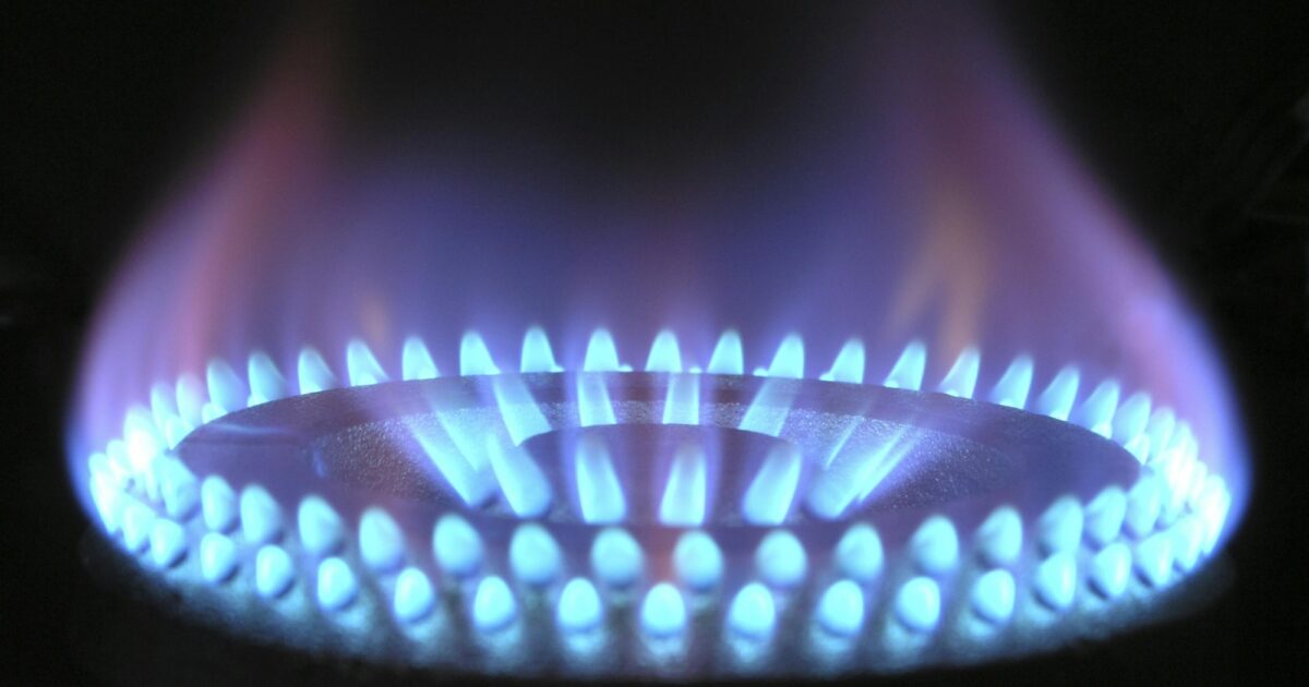 Complete Embed Scripts Energie data dashboard